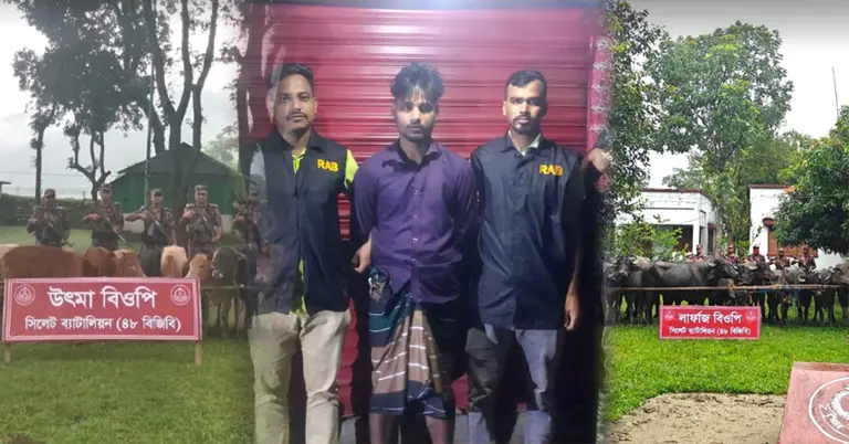 অভিযানে জব্দ গরু-মহিষ ও আটক চোরাকারবারী